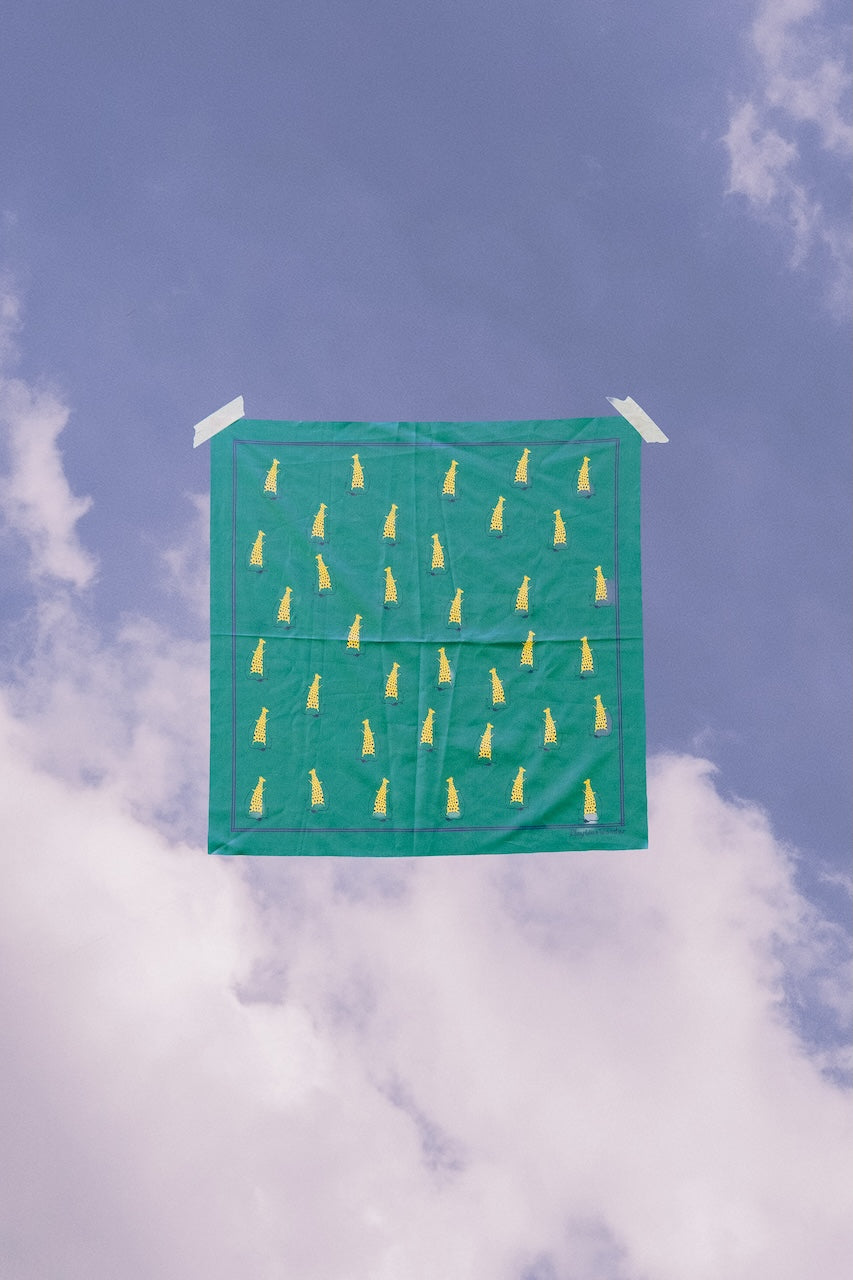 Loop Pattern - Poppy Longbounce