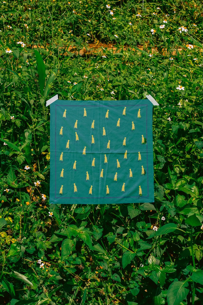 Loop Pattern - Poppy Longbounce