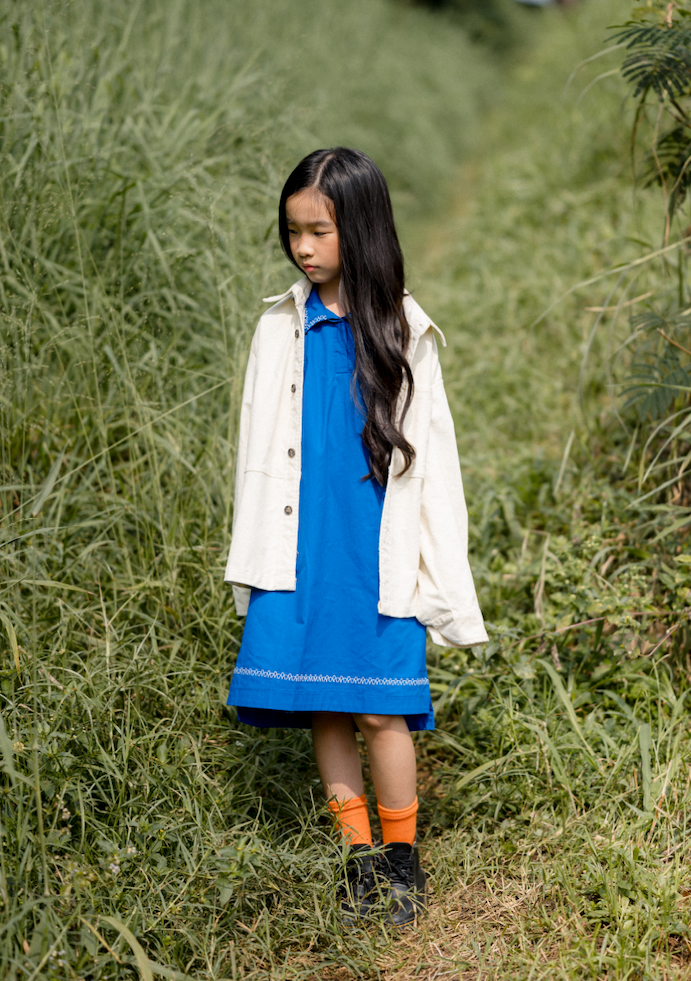 Palooza Mark Dress in Bleu