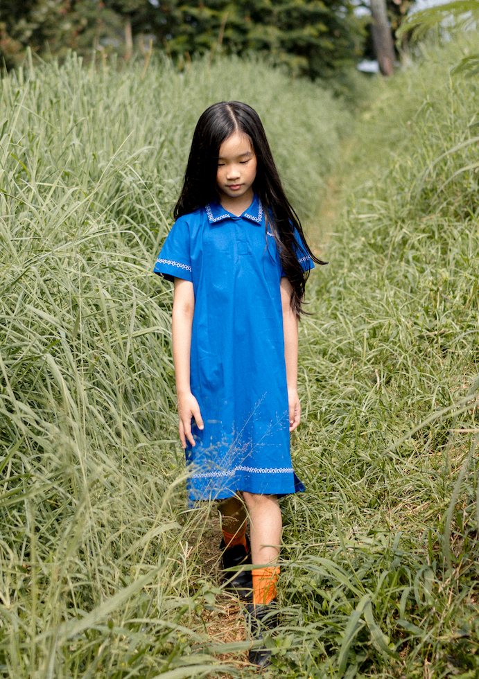 Palooza Mark Dress in Bleu