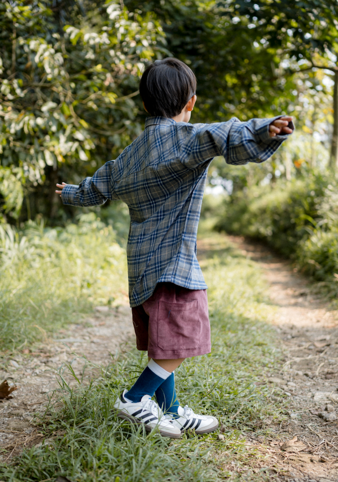 Plaidson Shirt in Gris