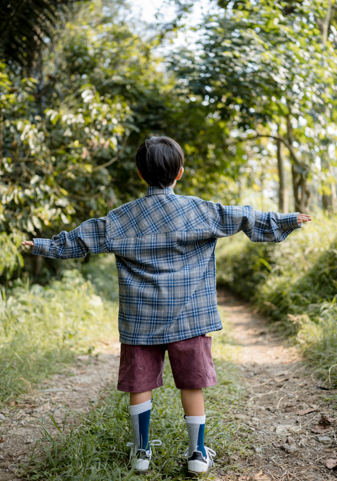Plaidson Shirt in Gris